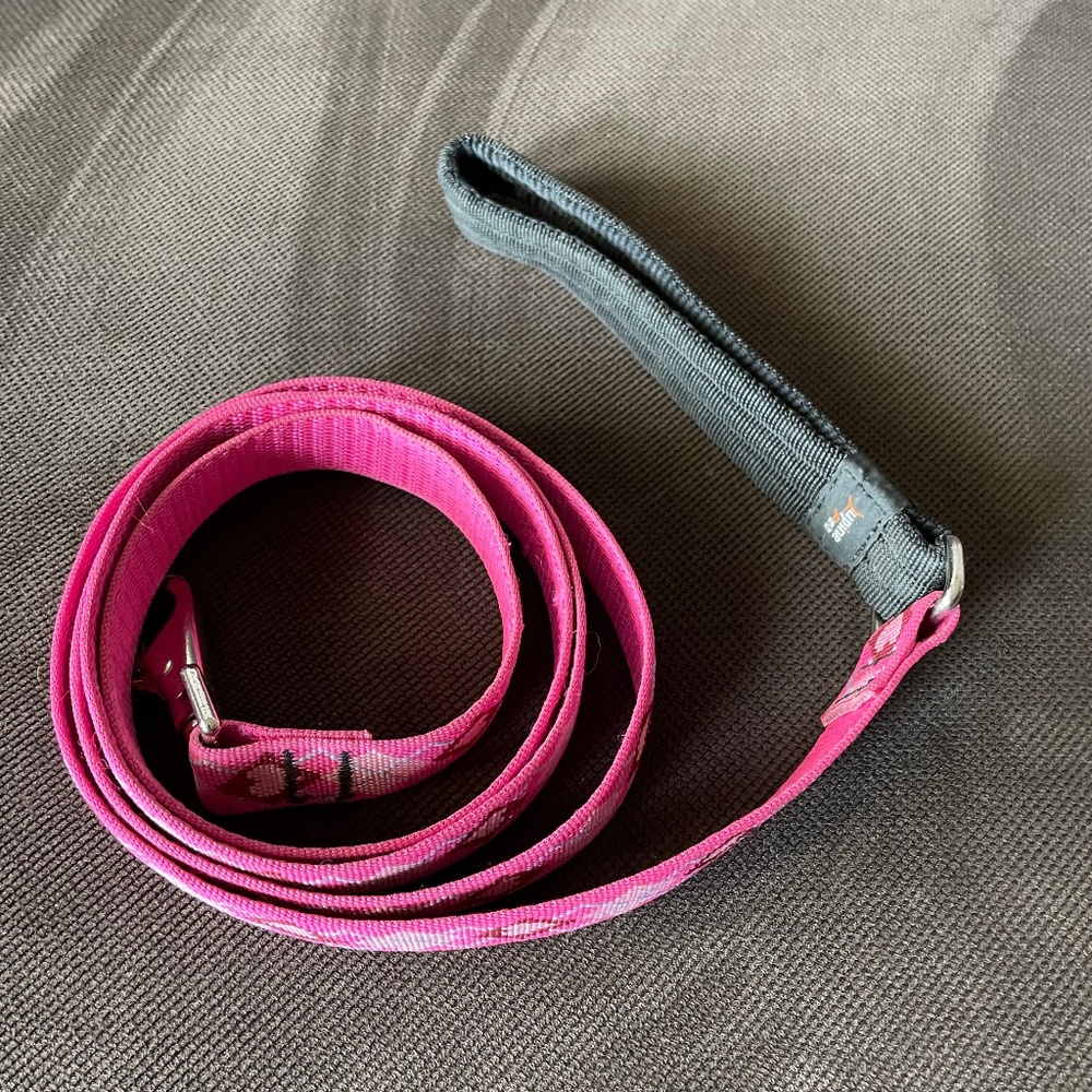 Dog Leash NWOT, Pink, 6 feet in length